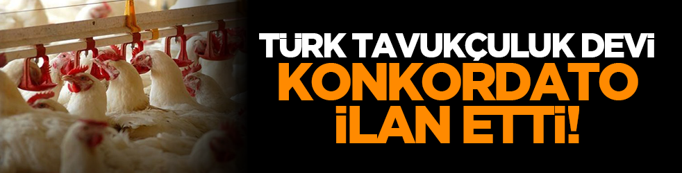 Türk tavukçuluk devi konkordato ilan etti!
