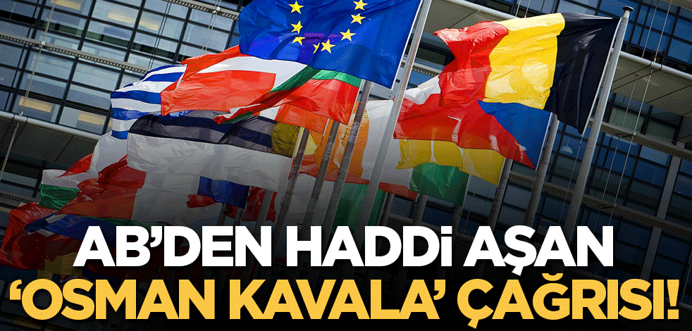 Türk yargısına akıl verdiler! Kavala'nın "AB"ileri de topa girdi