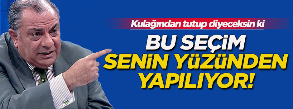 Türkeş: Bu seçim senin yüzünden yapılıyor