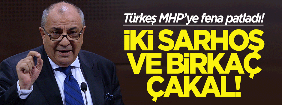Türkeş MHP'ye fena patladı!