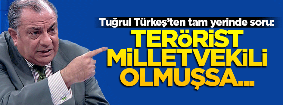 Türkeş: Terörist milletvekili olursa ne yapmalı?