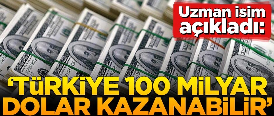 'Türkiye 100 milyar dolar kazanabilir'