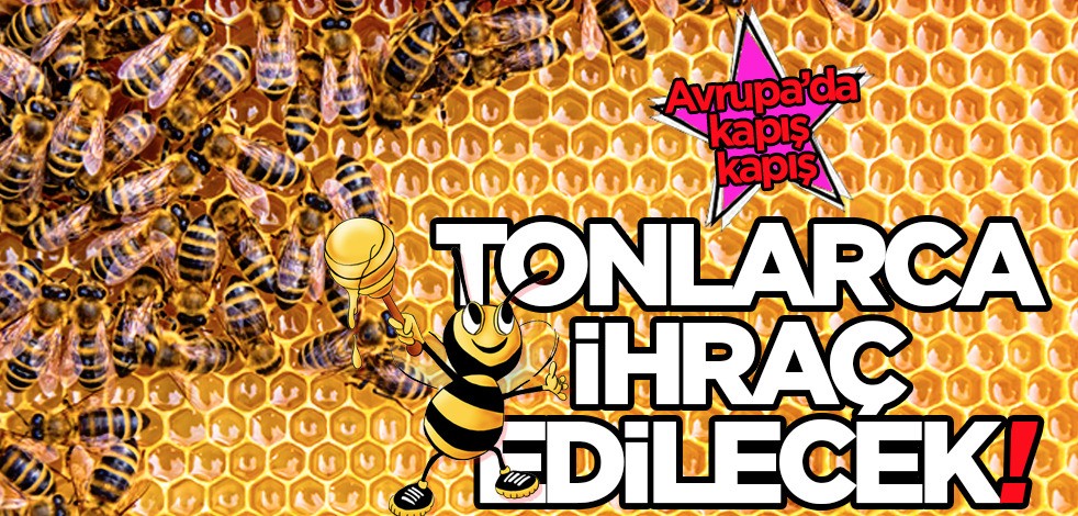 Türkiye, BAE, İngiltere, ABD ve Katar gibi birçok ülkeye bal gönderiliyor! Türkiye'den tonlarca alacaklar