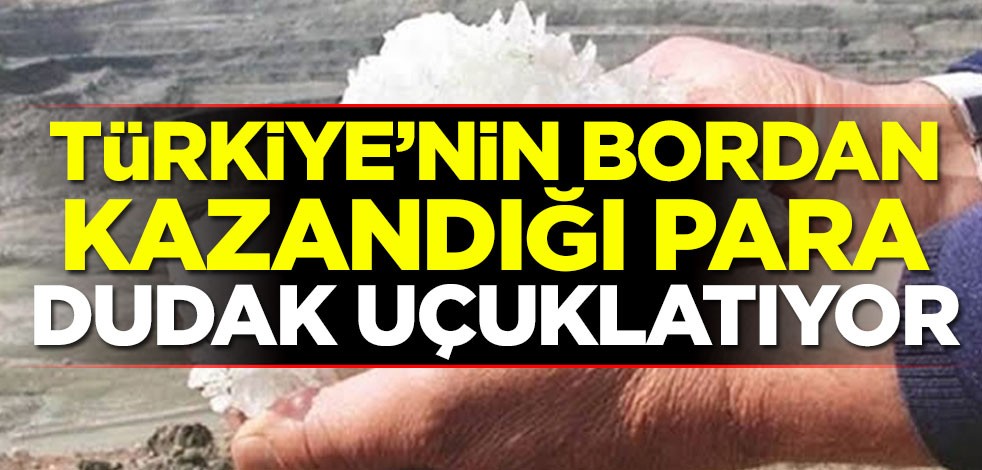 Türkiye, bordan kazandığı para dudak uçuklatıyor