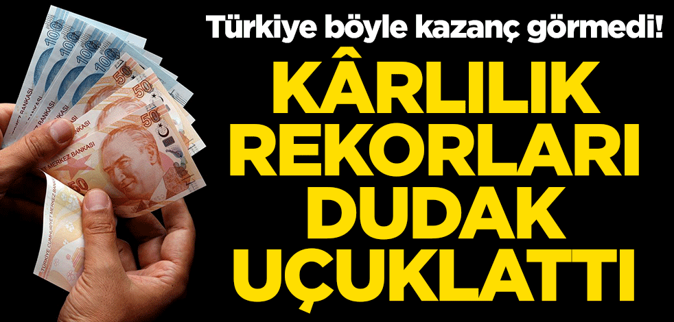 Türkiye böyle kazanç görmedi! Kârlılık rekorları dudak uçuklattı