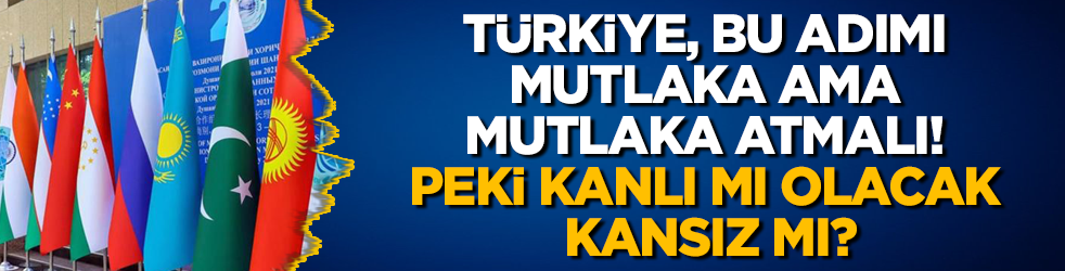 Türkiye, bu adımı mutlaka ama mutlaka atmalı! Peki kanlı mı olacak kansız mı?