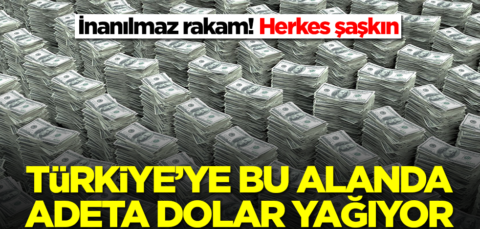 Türkiye'ye bu alanda adeta dolar yağmaya başladı! İnanılmaz rakam, herkes şaşkın