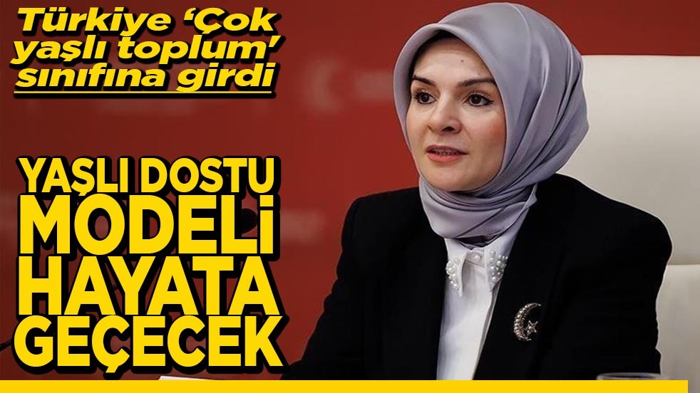 Türkiye ‘Çok yaşlı toplum' sınıfına girdi Yaşlı dostu modeli hayata geçecek