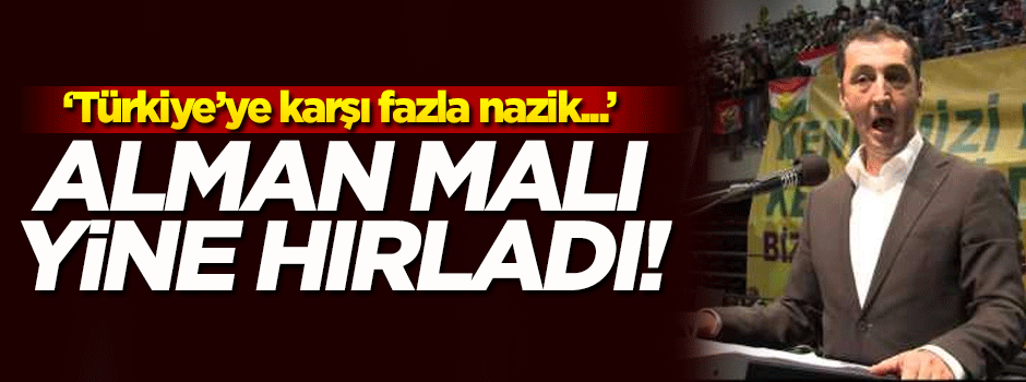 Türkiye düşmanı hırladı: Almanya fazla nazik...