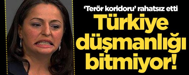 Hainlerin Türkiye düşmanlığı bitmiyor!
