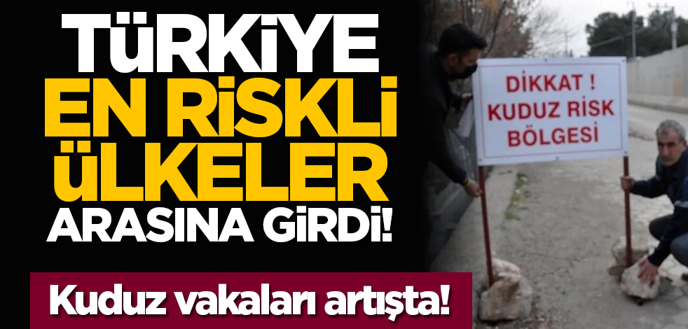 Türkiye en riskli ülkeler arasına girdi! Kuduz vakaları artışta!
