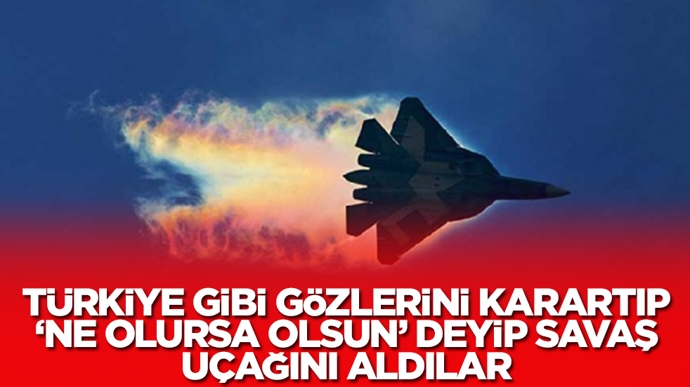 Türkiye gibi gözlerini karartıp 'ne olursa olsun' deyip savaş uçağını aldılar