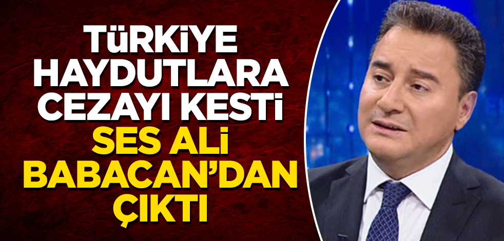 Türkiye haydutlara cezayı kesti, ses Ali Babacan'dan çıktı