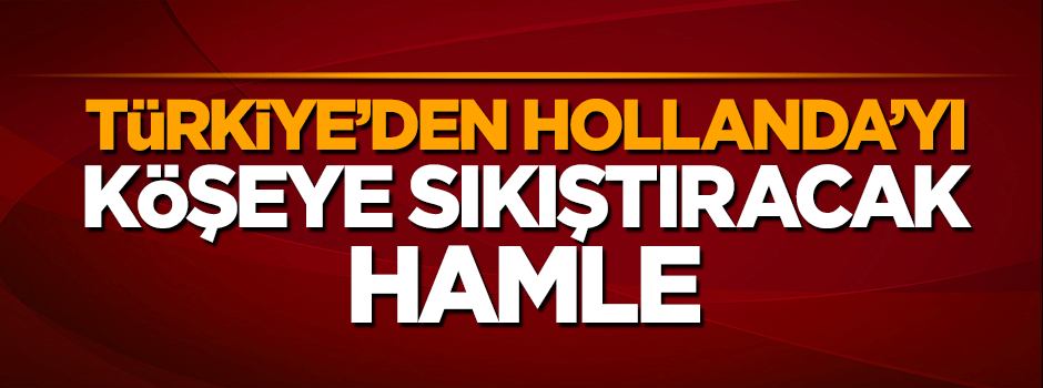 Türkiye, Hollanda’yı 3 uluslararası kuruluşa şikayet edecek