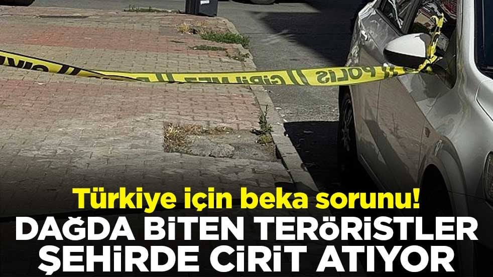 Türkiye için beka sorunu! Dağda biten teröristler şehirde cirit atıyor