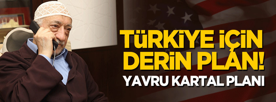 Türkiye için derin plan: Yavru kartal planı!