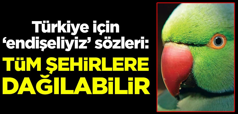 Türkiye için "Endişeliyiz" sözleri: Tüm şehirlere dağılabilir