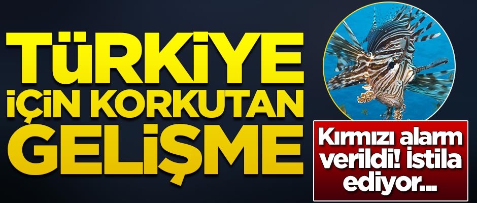 Türkiye için korkutan gelişme! İstila etmeye başladı