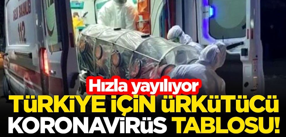Türkiye için dikkat çeken koronavirüs tablosu!