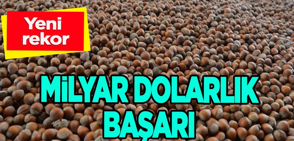 Türkiye ihracat rekoru kırdı! Milli başarı: Sadece 7 ayda yaklaşık 1,2 milyar dolarlık fındık ihraç etti!