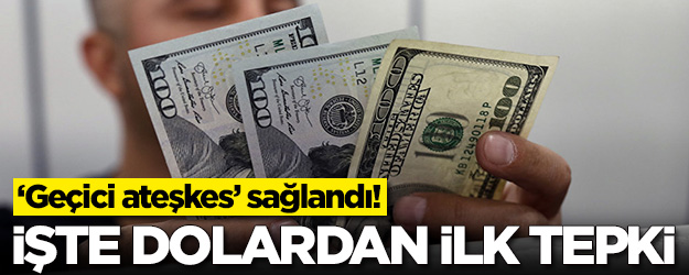 Türkiye ile ABD 'geçici ateşkes' sağladı! İşte dolardan ilk tepki