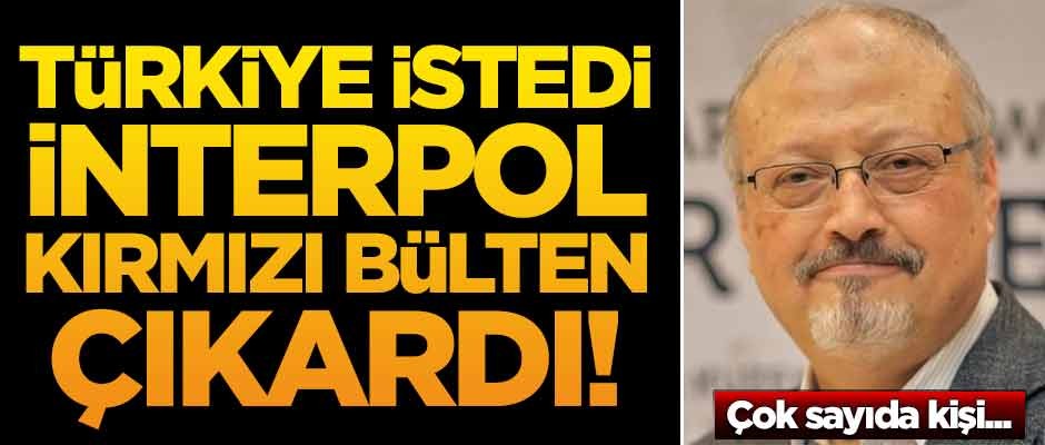 Türkiye istedi! Interpol kırmızı bülten çıkardı