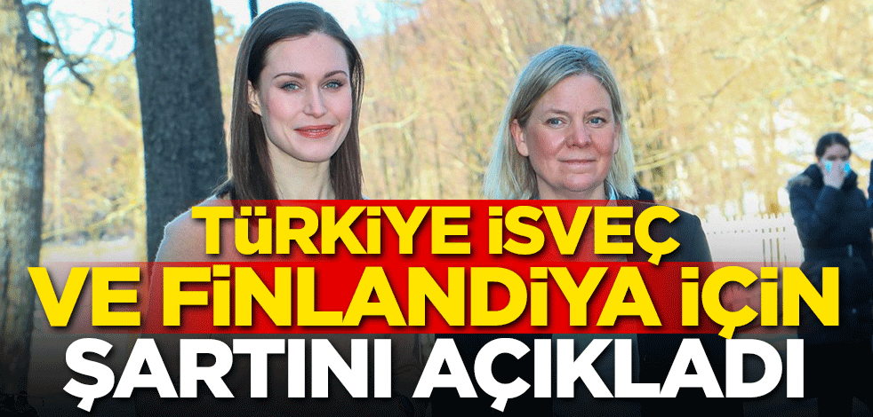 Türkiye, İsveç ve Finlandiya için şartını açıkladı