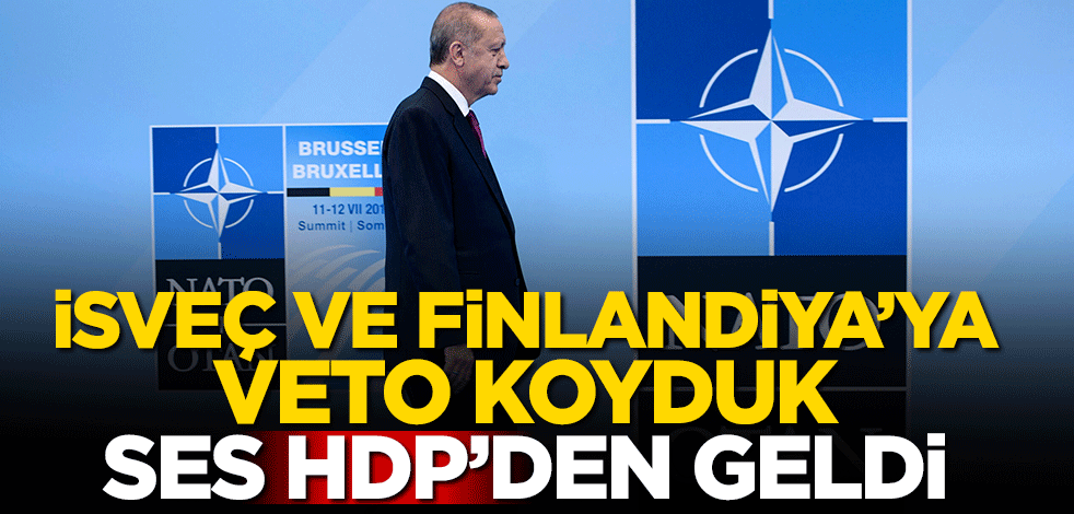 Türkiye İsveç ve Finlandiya'ya veto koydu ses HDP'den geldi
