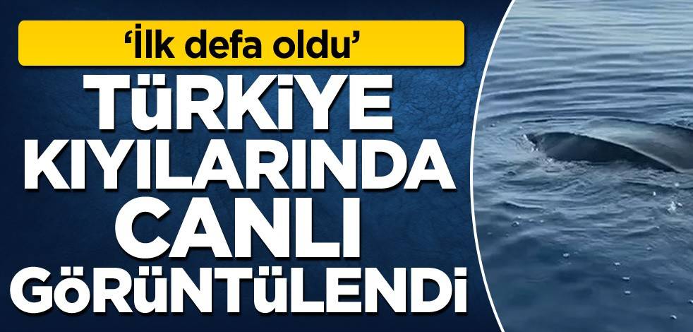 Türkiye kıyılarında ilk kez canlı görüntülendi