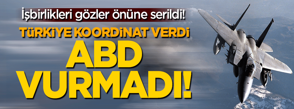 Türkiye koordinatları verdi, ABD DAEŞ'i vurmadı!