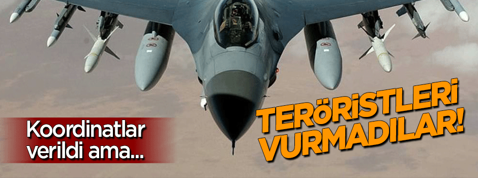 Türkiye: Koordinatları veriyoruz, ABD savaş uçakları vurmuyor!