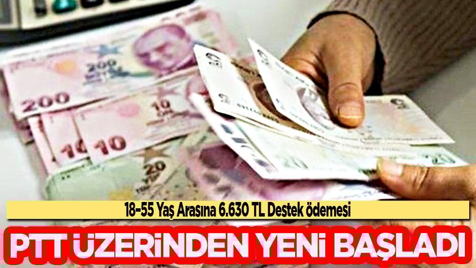 Türkiye programını devreye aldı: 18-55 yaş arası vatandaşlar dikkat! Destek ödemesi başladı! Net rakam 6.630 lira 