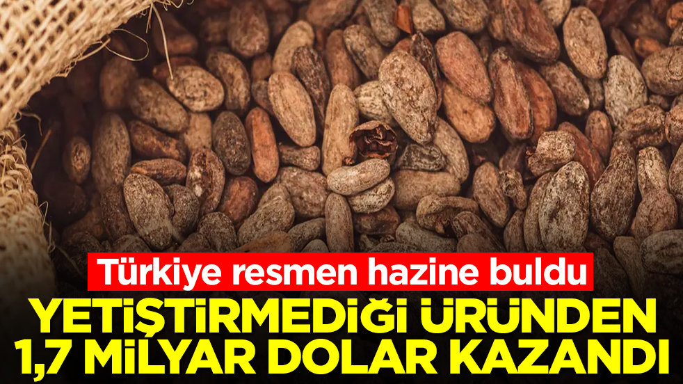 Türkiye resmen hazine buldu! Yetiştirmediği üründen 1,7 milyar dolar kazandı
