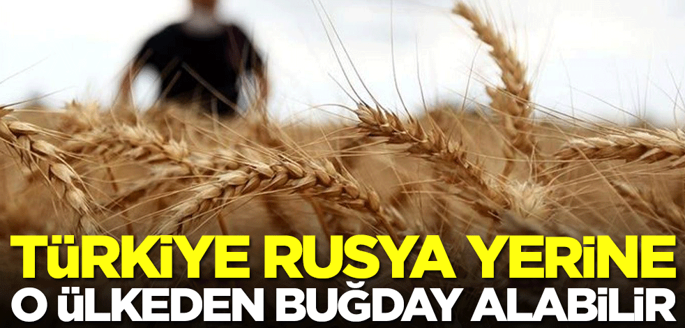 Türkiye Rusya yerine o ülkeden buğday alabilir