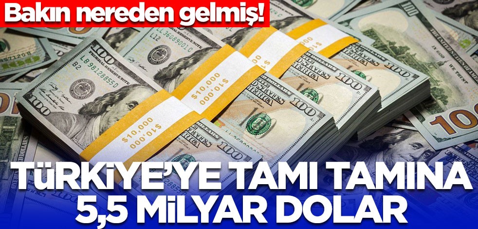 Türkiye'ye tamı tamına 5,5 milyar dolar! Bakın nereden gelmiş