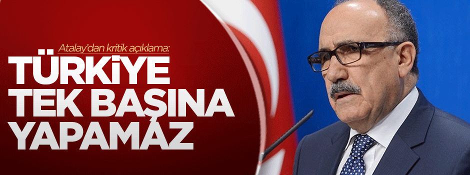 'Türkiye tek başına yapamaz'