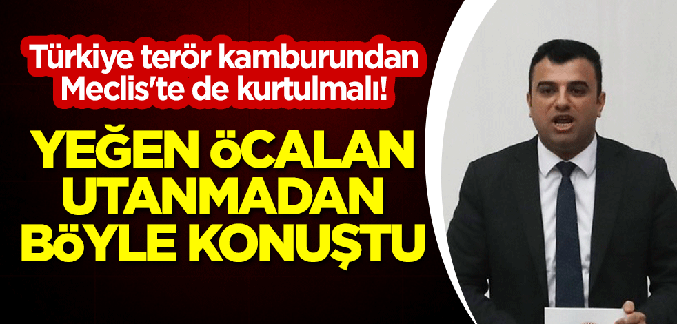 Türkiye terör kamburundan Meclis'te de kurtulmalı! Yeğen Öcalan utanmadan böyle konuştu