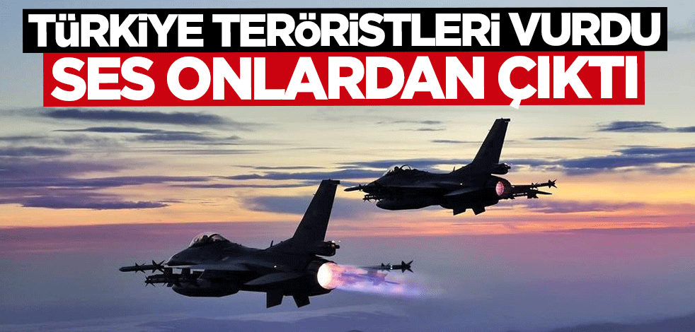 Türkiye teröristleri vurdu ses onlardan çıktı! Peş peşe skandal açıklamalar