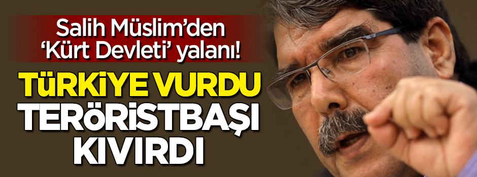 Türkiye vurdu, Salih Müslim kıvırdı