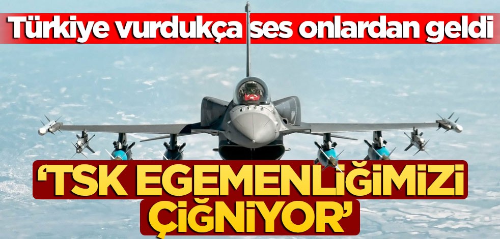 Türkiye vurdukça ses onlardan geldi! "TSK egemenliğimizi çiğniyor"