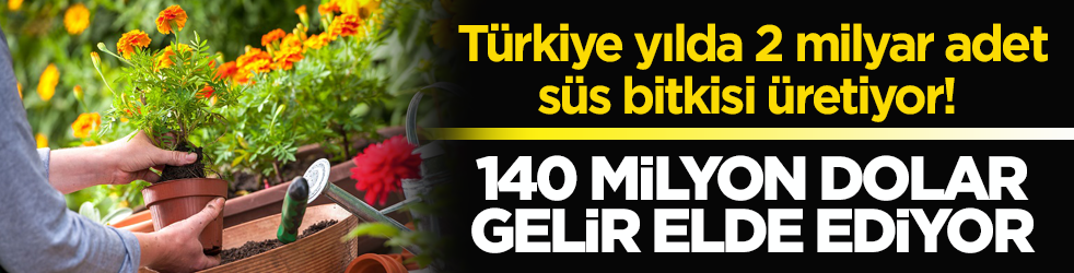 Türkiye yılda 2 milyar adet süs bitkisi üretiyor! 140 milyon dolar gelir elde ediyor