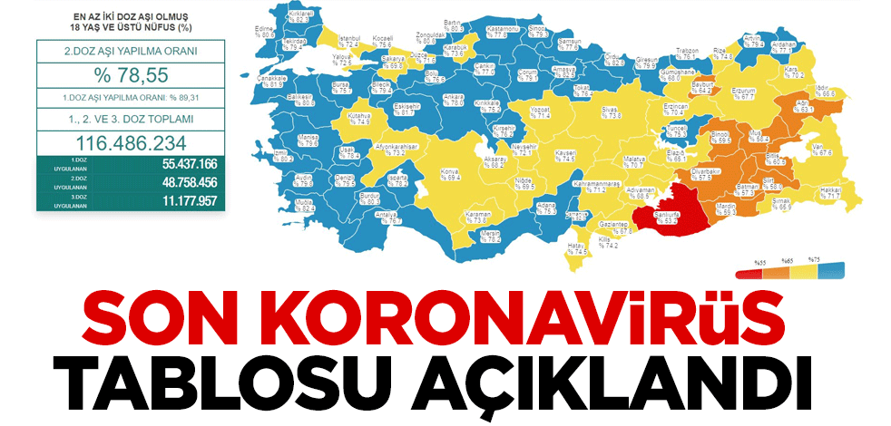 Türkiye'de 1 Kasım 2021 tarihine ait koronavirüs tablosu açıklandı