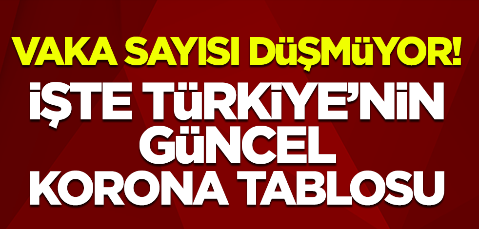 Türkiye'de 15 Aralık koronavirüs tablosu açıklandı! İşte vaka, test, ağır hasta sayısı ve can kaybı