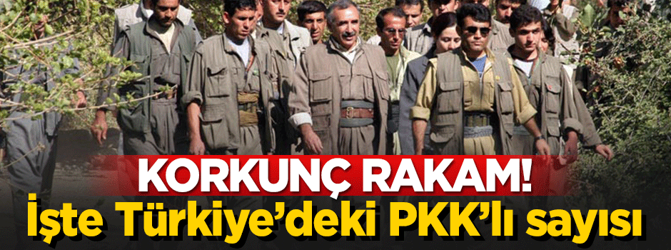 Türkiye'de 2 bin 500 PKK'lı terörist bulunuyor