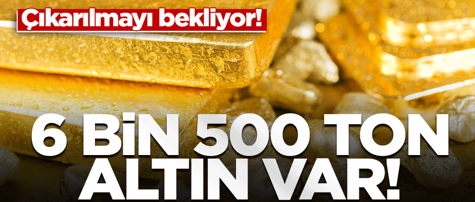 Türkiye'de 6 bin 500 tonluk altın rezervi var!