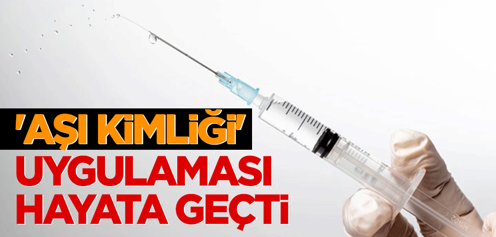 Türkiye'de 'aşı kimliği' uygulaması hayata geçti