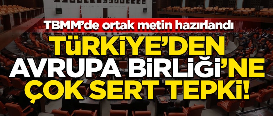 Türkiye'de Avrupa Birliği'ne çok sert tepki! TBMM'de ortak metin hazırlandı