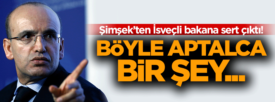 'Türkiye'de böyle aptalca bir şey yok'