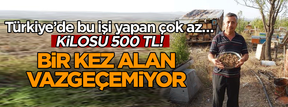 Türkiye’de bu işi yapan çok az… Kilosu 500 TL! Bir kez alan vazgeçemiyor