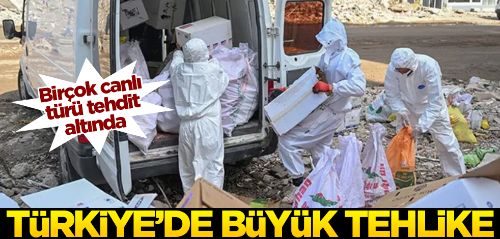 Türkiye'de büyük tehlike: Birçok canlı türü tehlikede! "Domino etkisi yapar"